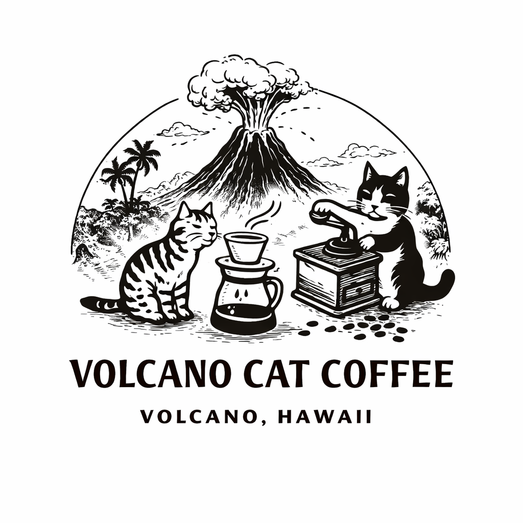 My Blog logo